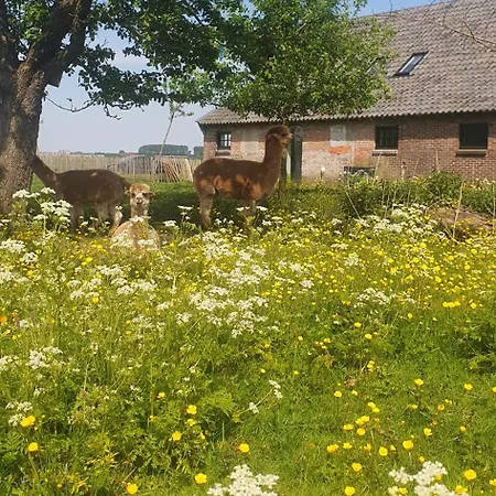 De Wagenloods Bed & Breakfast *