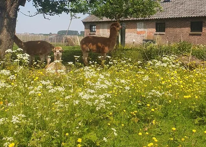 De Wagenloods Pensión 3*