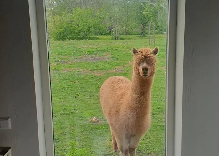 De Wagenloods Pensjonat Alphen aan den Rijn